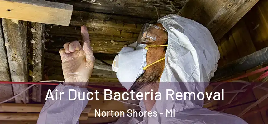  Air Duct Bacteria Removal Norton Shores - MI