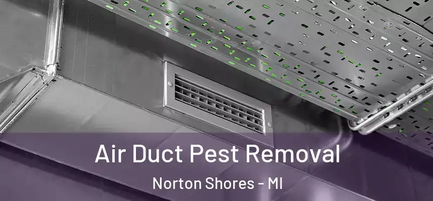  Air Duct Pest Removal Norton Shores - MI
