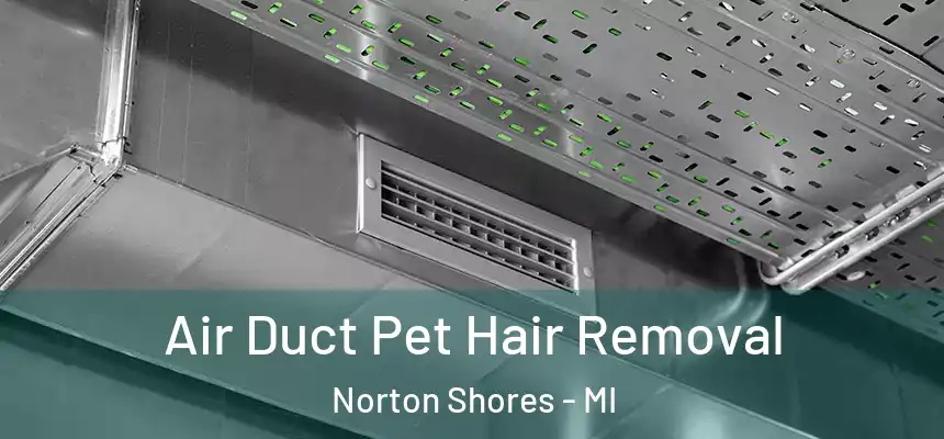 Air Duct Pet Hair Removal Norton Shores - MI
