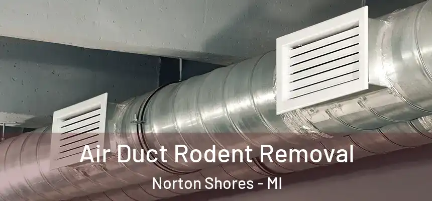  Air Duct Rodent Removal Norton Shores - MI
