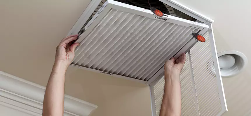Preventive Cockroach-Proofing for Ducts in Norton Shores