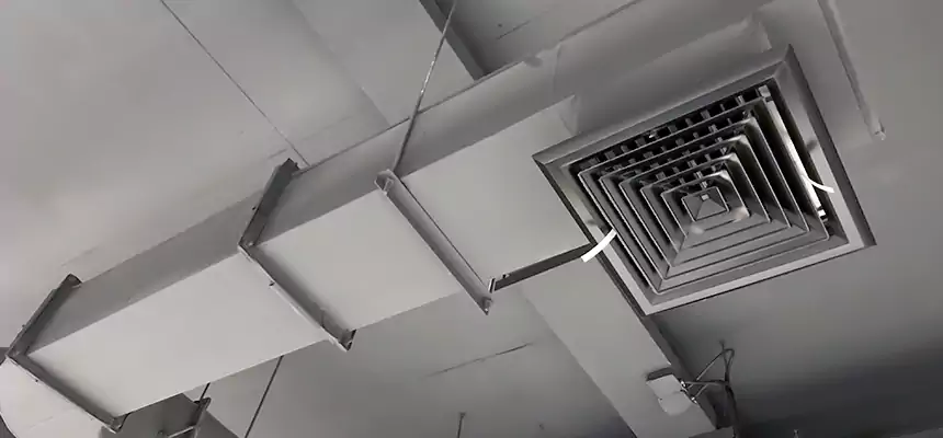 Our Pest Removal From Ducts Services in Norton Shores, MI