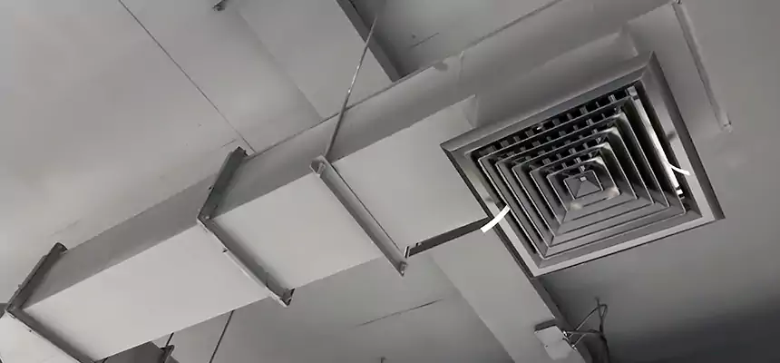 Our Rodent Droppings In Vents Services in Norton Shores, MI