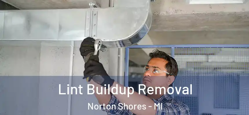  Lint Buildup Removal Norton Shores - MI