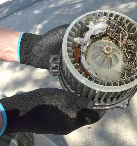 About Air Duct Mice Removal in Norton Shores, MI