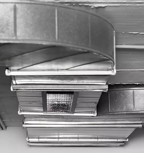 Professional Air Duct Pet Hair Removal in Norton Shores, MI