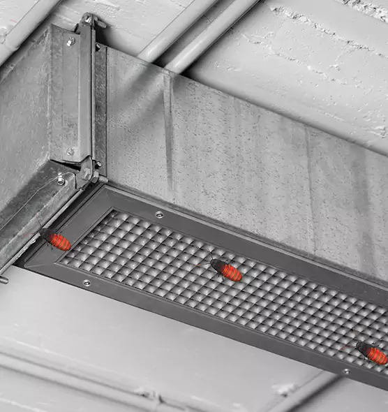 Affordable Insect Removal from Air Ducts in Norton Shores, MI