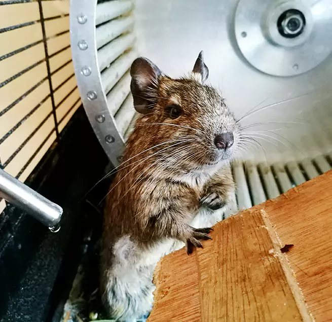 Why Homeowners & Businesses Trust Us Norton Shores, MI?